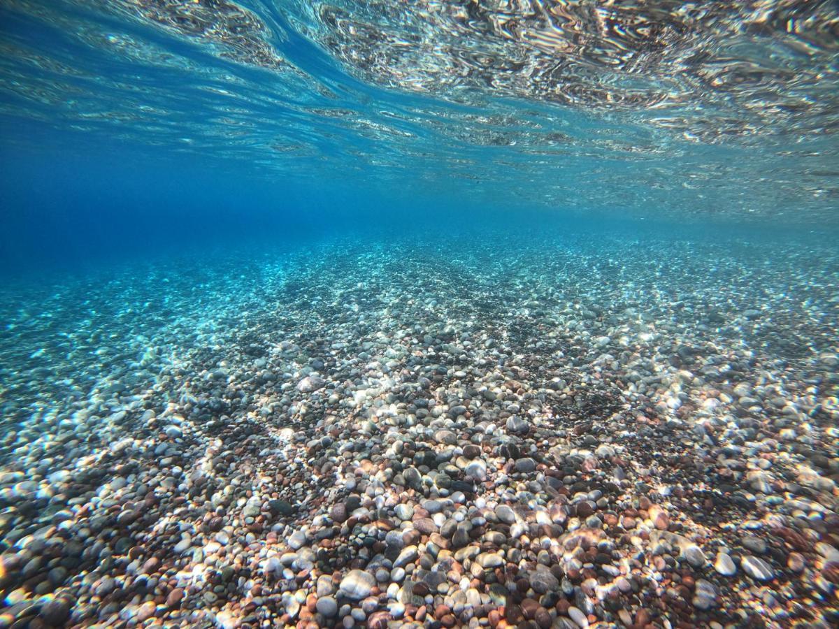Ktima Tzaneti - Coastal * Lachania