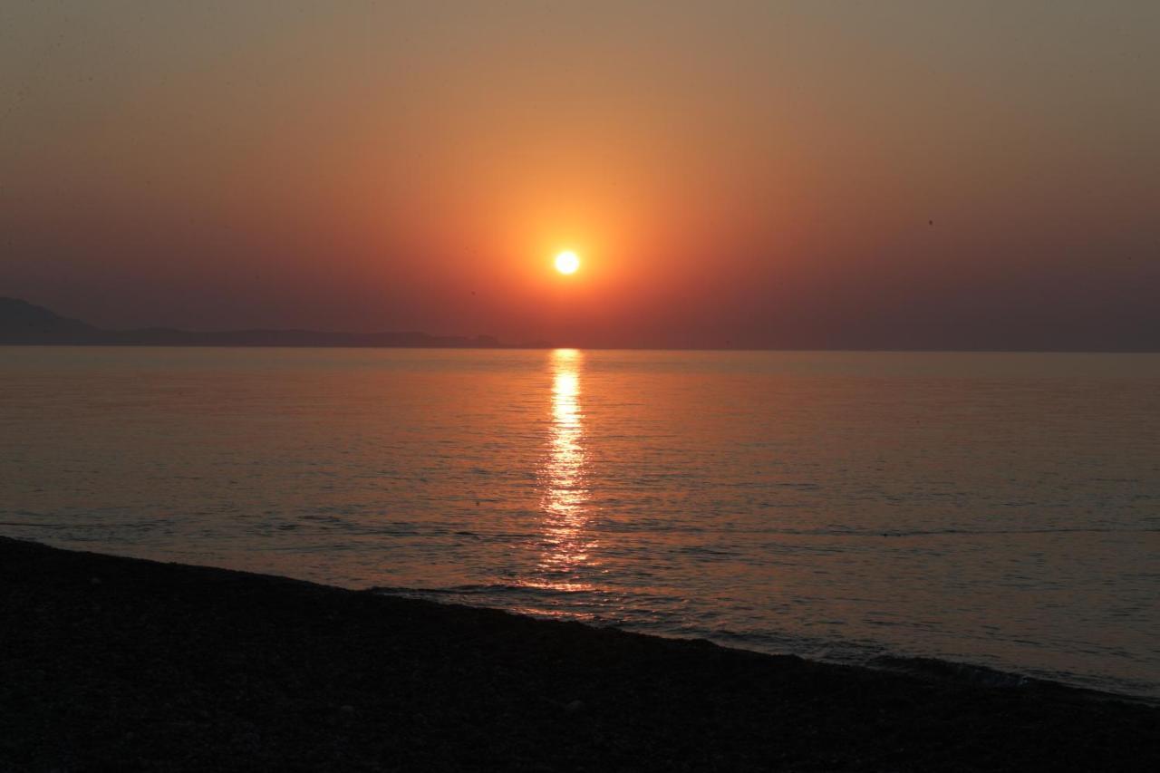 Ktima Tzaneti - Coastal Lachania